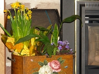 05275crs - Easter flowers by our fireplace.jpg